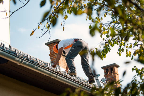 Roof Gutter Cleaning in West Park, FL